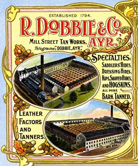 Advert, R Dobbie & Co, Leather Tanners, Ayr, Scotland Advert, R Dobbie & Co, Leather Tanners, Ayr, Scotland