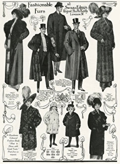 Advert for Swan & Edgars fur coats 1911 Advert for Swan & Edgars fur coats 1911