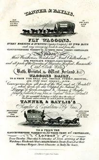 Advert for Tanner & Baylis Fly Waggons Advert for Tanner & Baylis Fly Waggons