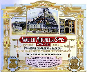 Bacon Gallery: Advert, Walter Mitchell & Sons, Ayr, Scotland