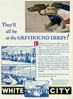 Lounge Gallery: Advert for White City Greyhound Racing 1932