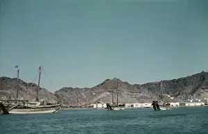 Ships And Boat Prints: Aden: The Dhows Print, 1959