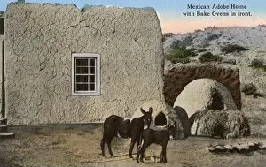 Brick Gallery: Adobe House - Mexico - Bake Ovens and Mules