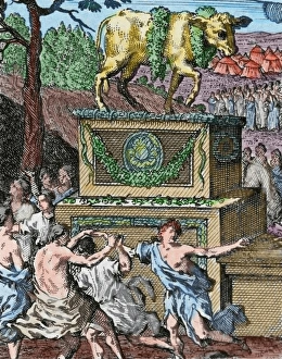The Adoration of the Golden calf. Engraving. Colored The Adoration of the Golden calf. Engraving. Colored