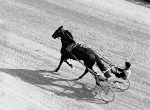 Aerial view of a horse trap and jockey Aerial view of a horse trap and jockey