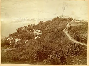 Aerial view of Newcastle, Jamaica, West Indies Aerial view of Newcastle, Jamaica, West Indies