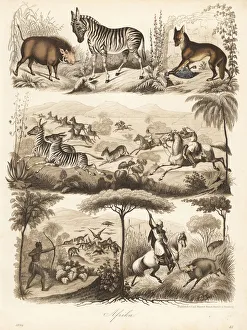 Africans hunting warthog, zebra and jackal Africans hunting warthog, zebra and jackal