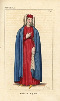 Agnes de la Queue, first wife of Erost de Treinel Agnes de la Queue, first wife of Erost de Treinel