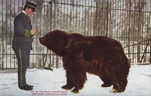 Alaskan brown bear in the New York Zoological Park Alaskan brown bear in the New York Zoological Park