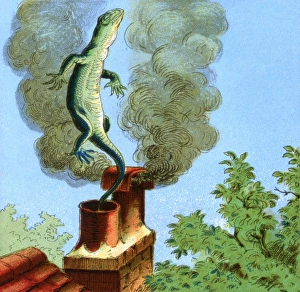Alice in Wonderland, Bill the Lizard Alice in Wonderland, Bill the Lizard