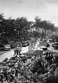 Allied Troops in the Reichswald Forest; Second World War, 19 Allied Troops in the Reichswald Forest; Second World War, 19