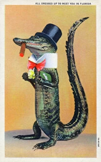 Anthropomorphism Gallery: An Alligator - all dressed up to meet you in Florida, USA
