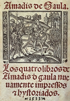 Amadis de Gaula (Amadis of Gaul). Chivalric romance Amadis de Gaula (Amadis of Gaul). Chivalric romance