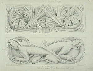 Amblyrhynchus cristatus, marine iguana design Amblyrhynchus cristatus, marine iguana design