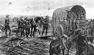 Images Dated 8th June 2011: Ambulance for wounded horses, World War One
