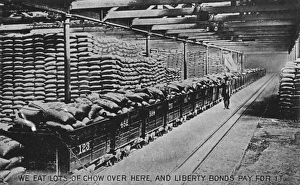 American first world war propaganda: liberty bonds American first world war propaganda: liberty bonds