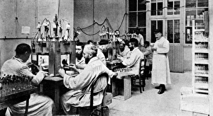 Anti-typhoid vaccination in the French army Anti-typhoid vaccination in the French army