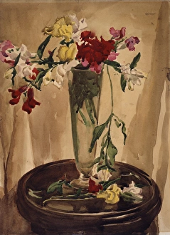 <b class=qtipBold><figcaption>Antirrinhums</figcaption></b><br>Antirrinhums. Conor, William 1881-1968. Date:<br><em>© National Museums NI / MARY EVANS</em> Antirrinhums