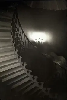 Prints of Figures photographed on the Tulip Staircase of the Queens House, though photographer saw nothing; during normal opening hours of the Museum Borough Prints: Apparition Print: Tulip Staircase Figure