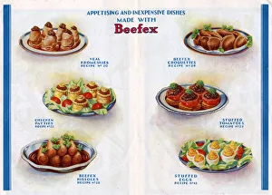 Appetising and inexpensive dishes made with Beefex Appetising and inexpensive dishes made with Beefex