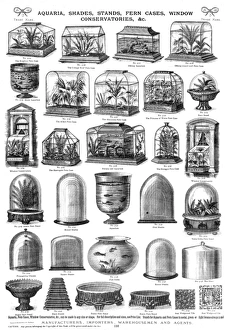 Aquaria, shades, stands, fern cases, Plate 116 Aquaria, shades, stands, fern cases, Plate 116