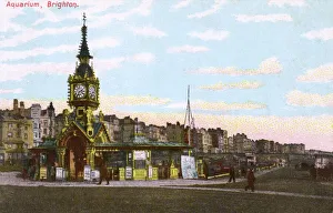 The Aquarium, Brighton Seafront, West Sussex The Aquarium, Brighton Seafront, West Sussex