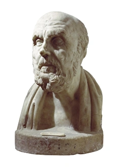 Hellenic Gallery: ARATUS (320 BC-240 BC). Greek didactic poet. Bust