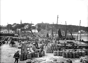 Loads Gallery: Ardglass in the Herring Season