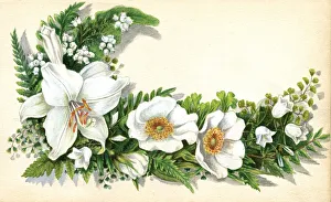 Artwork by Florence Auerbach, white flowers Artwork by Florence Auerbach, white flowers
