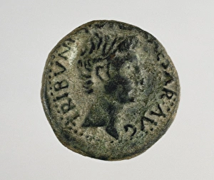 As. Roman coin. Bronze. Showing Augustus on the obserse. 1st As. Roman coin. Bronze. Showing Augustus on the obserse. 1st