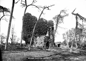 Meath Gallery: Assey Castle, Co. Meath