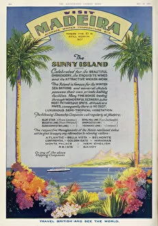 1931 Gallery: Atlantic Islands / Madeira
