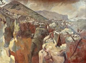 Austro Gallery: Austrian front line, Monte Pasubio, Italy, WW1