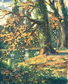 Bury Collection: Autumn At Ickwell, Bury