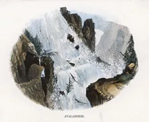 Avalanche 1860 Avalanche 1860