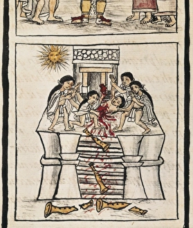 Azteca Empire. Sacrifice to the good Tezcatilipoca