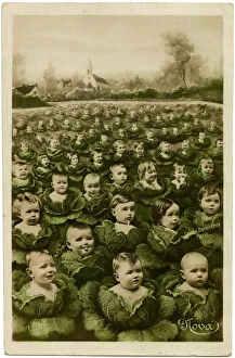 Population Collection: Babies in a cabbage patch