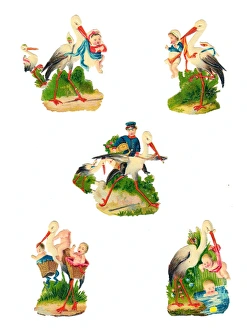 Babies and storks on five Victorian scraps Babies and storks on five Victorian scraps
