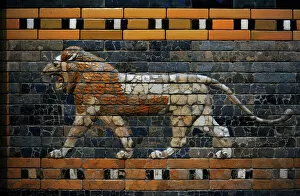 Babylons lion. Lion decorated the Processional Wal (Ishtar