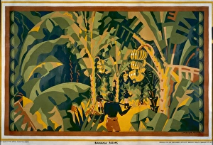 Plantations Gallery: Banana palms