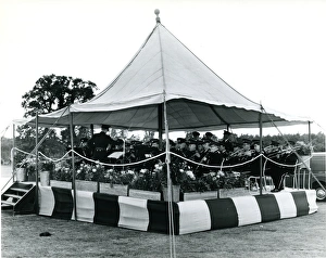 The bandstand at the 1957 Royal Aeronautical Society Gar? The bandstand at the 1957 Royal Aeronautical Society Gar?