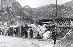 Barbed wire at Torzburg Pass, Romania, WW1 Barbed wire at Torzburg Pass, Romania, WW1
