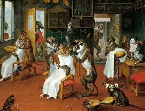 Barbers shop with Monkeys and Cats