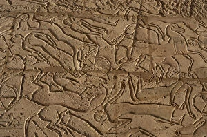 Images Dated 27th November 2003: Battle of Kadesh (1274 B. C. ). Ramesseum. Egypt