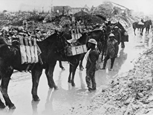 <b class=qtipBold><figcaption>Battle of Vimy Ridge 1917</figcaption></b><br>Pack horses of the Canadian Field Artillery carrying 18 pounder shells at the Battle of Vimy Ridge on the Western Front in France during World War I in April 1917<br><em>© Mary Evans/Robert Hunt Collection</em> Battle of Vimy Ridge 1917