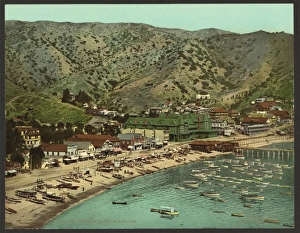The beach at Avalon, Santa Catalina Island, Cal The beach at Avalon, Santa Catalina Island, Cal