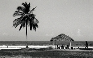 Beach scene in Trinidad, West Indies Beach scene in Trinidad, West Indies