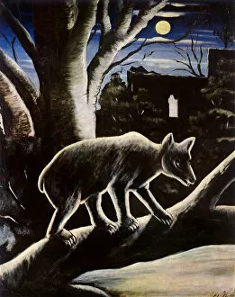 Critter Gallery: Bear on a Moonlit Night Date: 1910