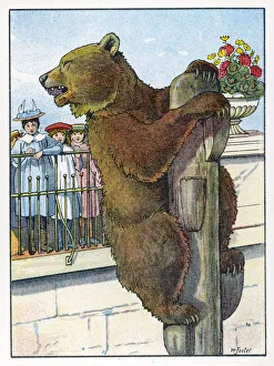 <b class=qtipBold><figcaption>Bears/Book of Animals</figcaption></b><br>A brown bear climbs to the top of a pole at the zoo<br><em>© Mary Evans Picture Library</em> Bears/Book of Animals