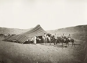 Bedouin camp in the desrt, North Africa, Algeria Bedouin camp in the desrt, North Africa, Algeria